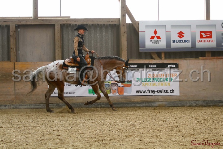 31-ApHC OWP_040.jpg